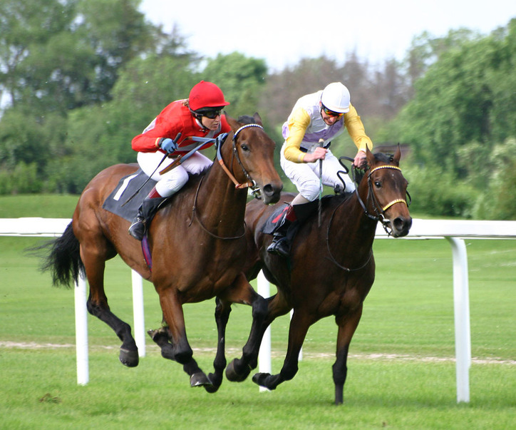 Some vital information that you must know about horse racing